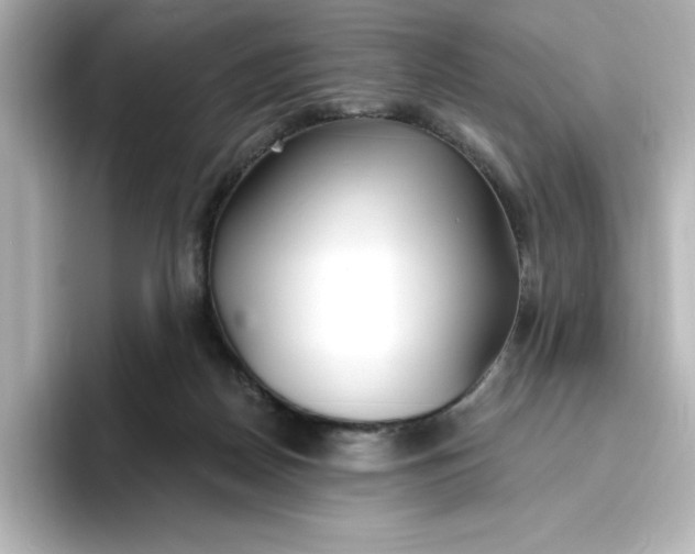 X0000096970170200802221411