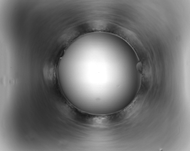 X0000096970172200802221411