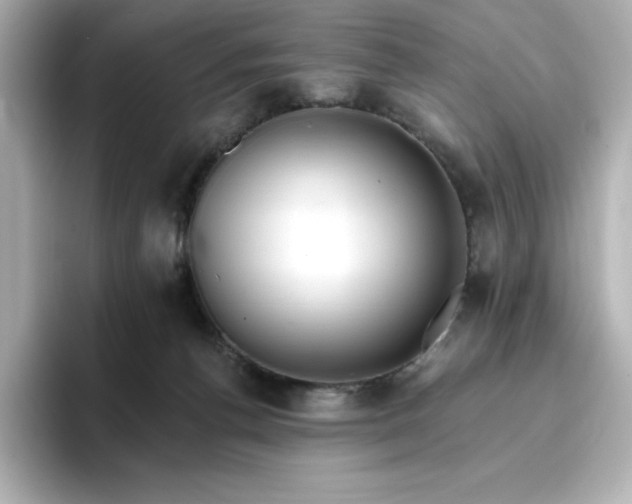 X0000096970176200802221411