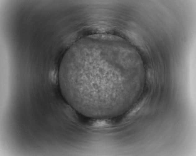 X0000096970177200802221411