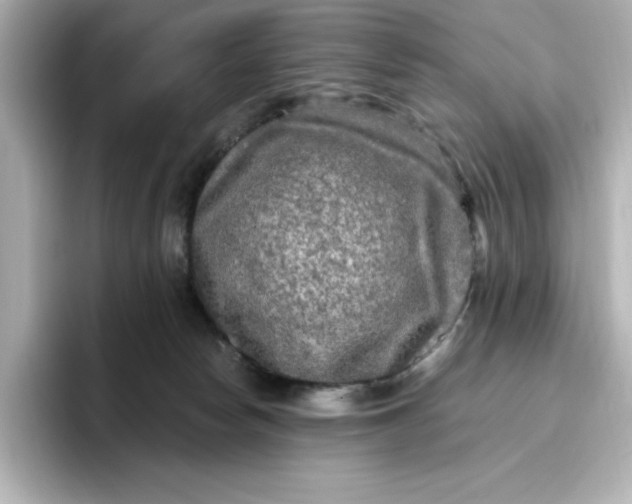 X0000096970178200802221411