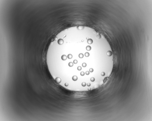 X0000096970179200802221411