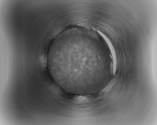 X0000096970180200802221411