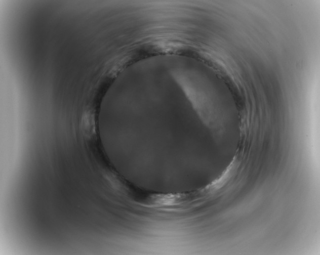 X0000096970182200802221411