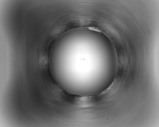 X0000096970184200802221411