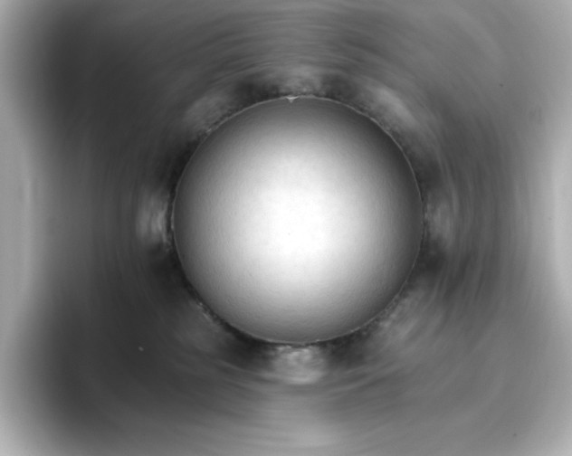 X0000096970185200802221411