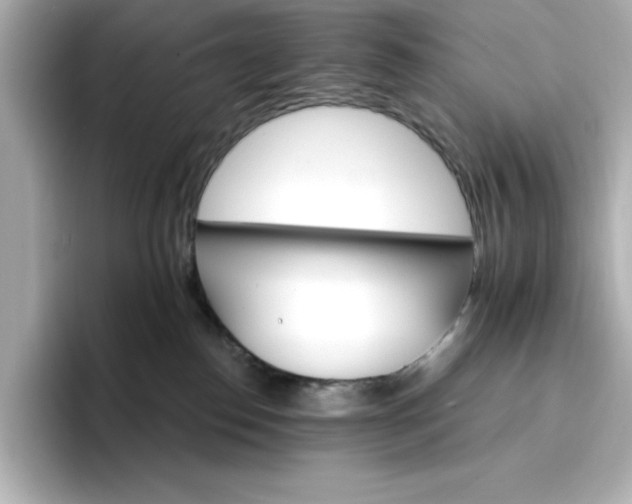 X0000096970186200802221411