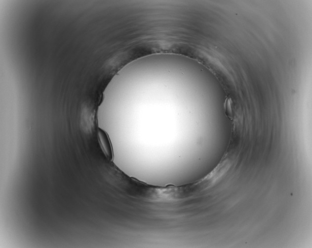 X0000096970188200802221411