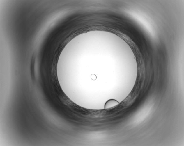 X0000096970189200802221411