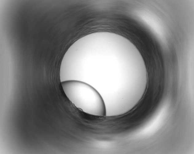 X0000096970190200802221411