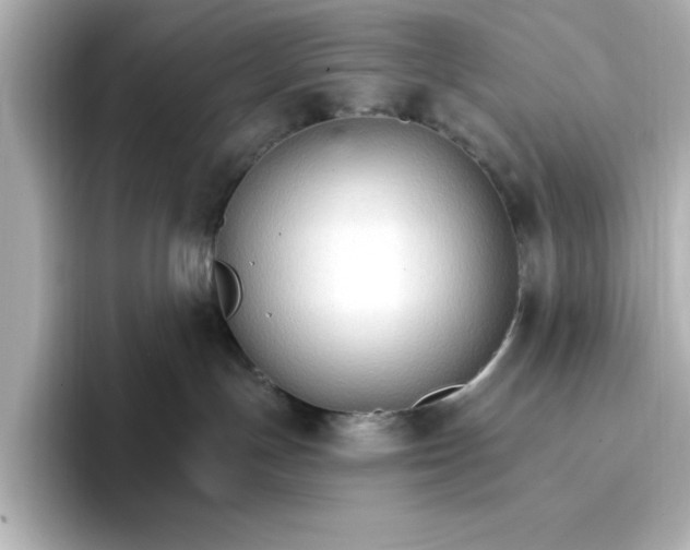 X0000096970191200802221411