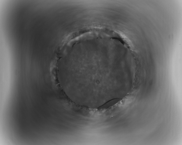 X0000096970192200802221411