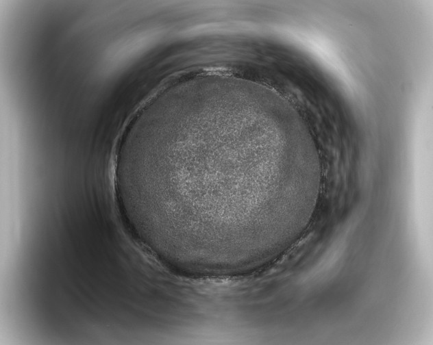 X0000096970194200802221410