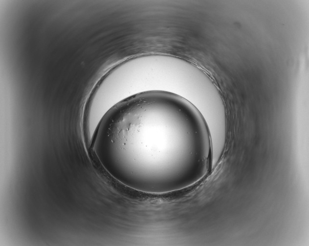 X0000096970195200802221410