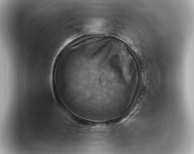 X0000096970196200802221410