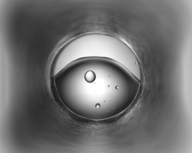 X0000096970199200802221410