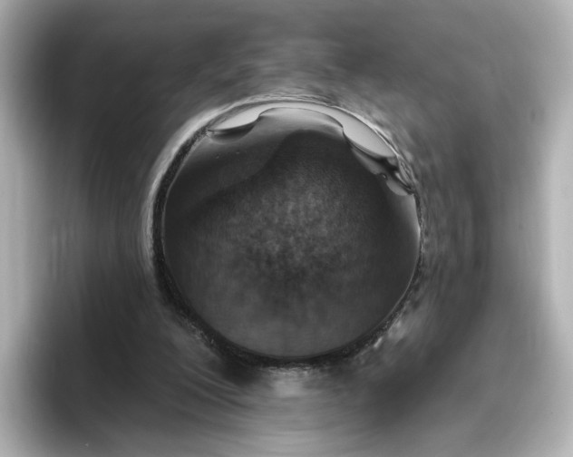 X0000096970200200802221410