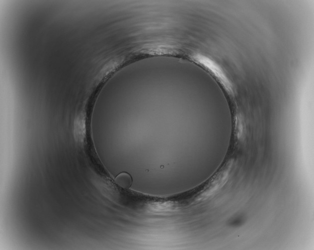 X0000096970202200802221410