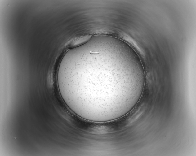 X0000096970203200802221410