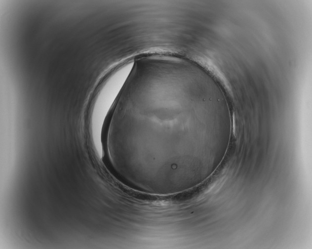 X0000096970204200802221410