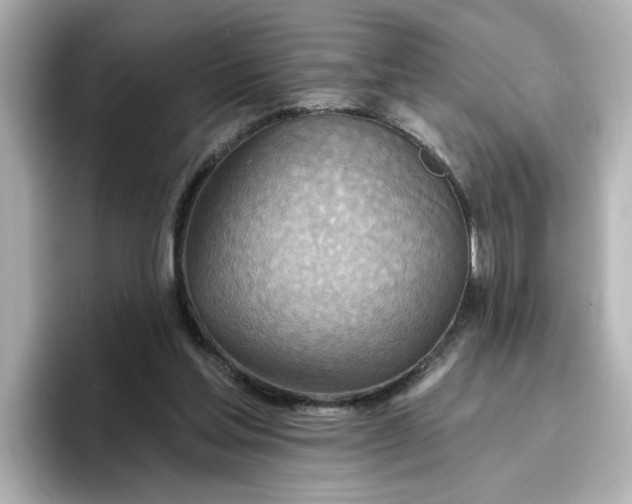 X0000096970205200802221410