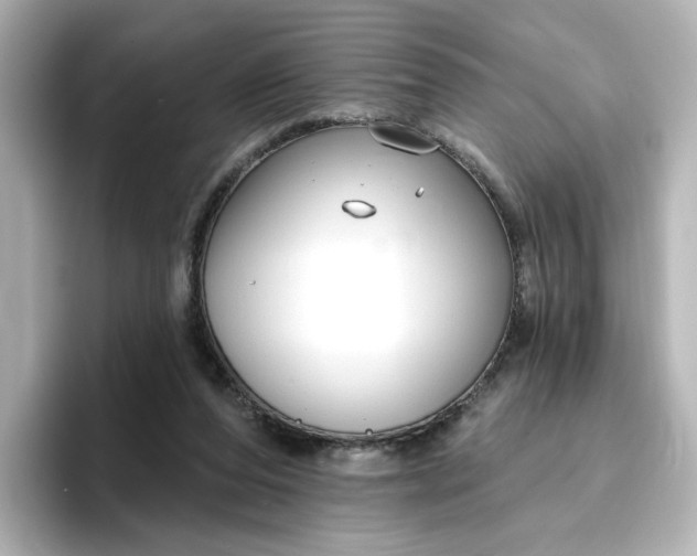 X0000096970208200802221410