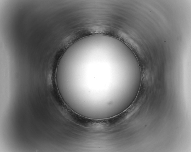 X0000096970209200802221410