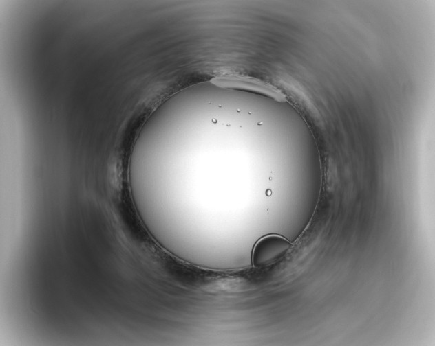 X0000096970210200802221410