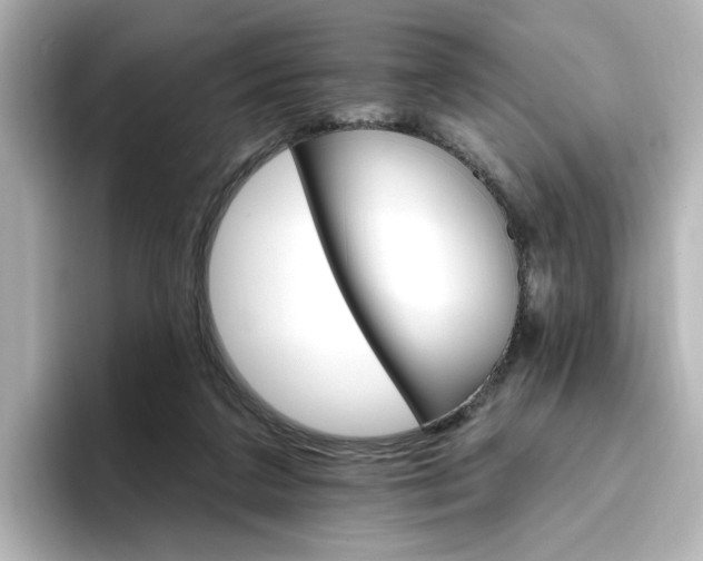 X0000096970211200802221410