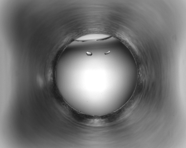 X0000096970212200802221410