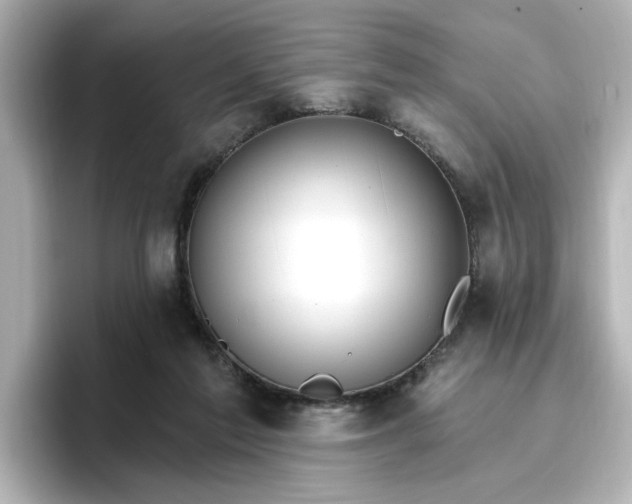 X0000096970213200802221410