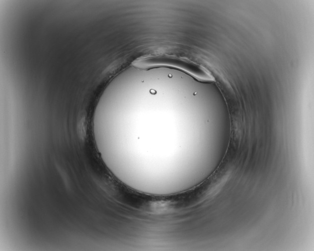 X0000096970216200802221410