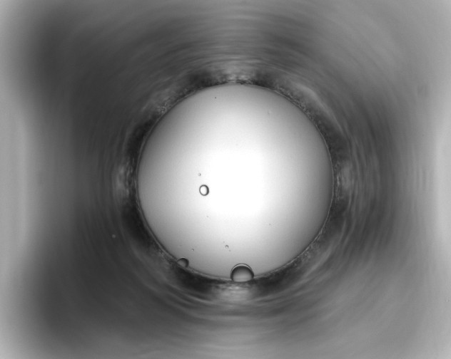 X0000096970218200802221410