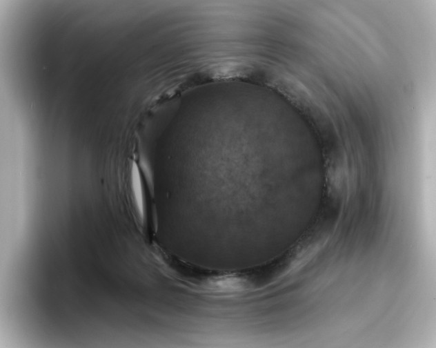 X0000096970219200802221410