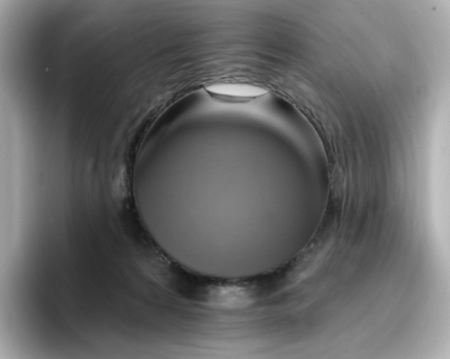 X0000096970224200802221410