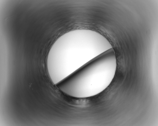 X0000096970225200802221410