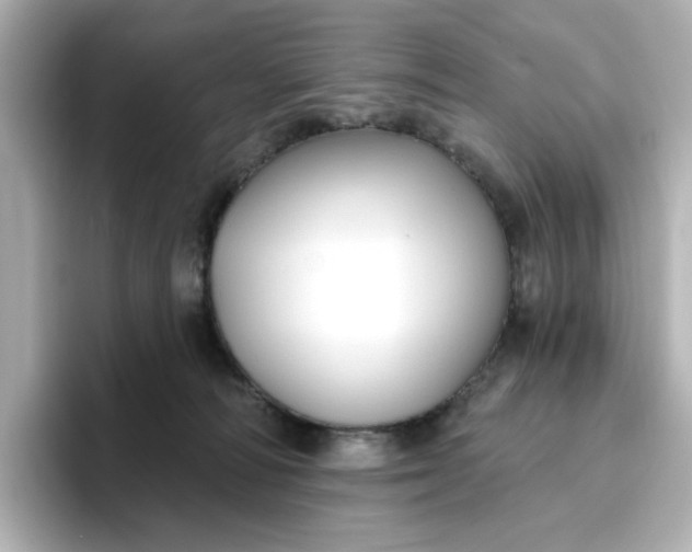 X0000096970226200802221410