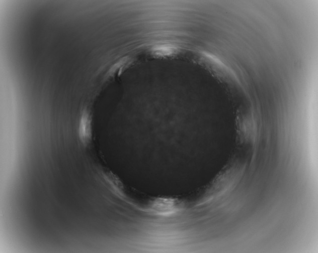 X0000096970227200802221410