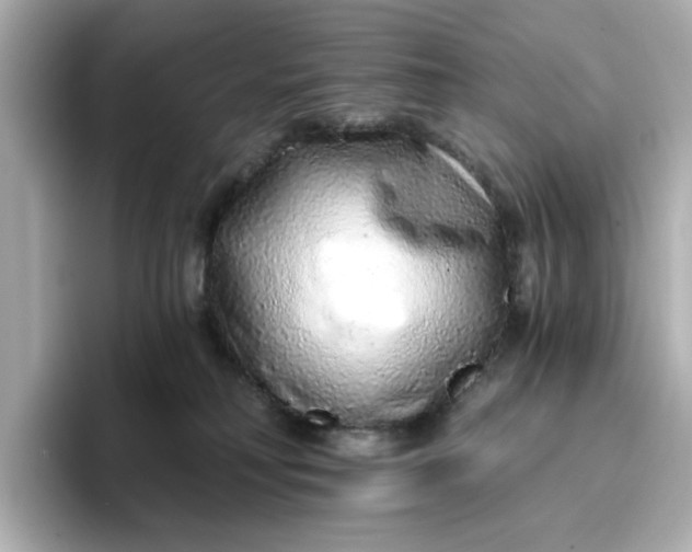 X0000096970230200802221410