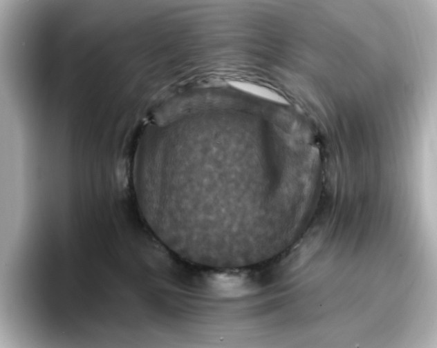 X0000096970232200802221410