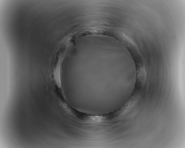 X0000096970233200802221410