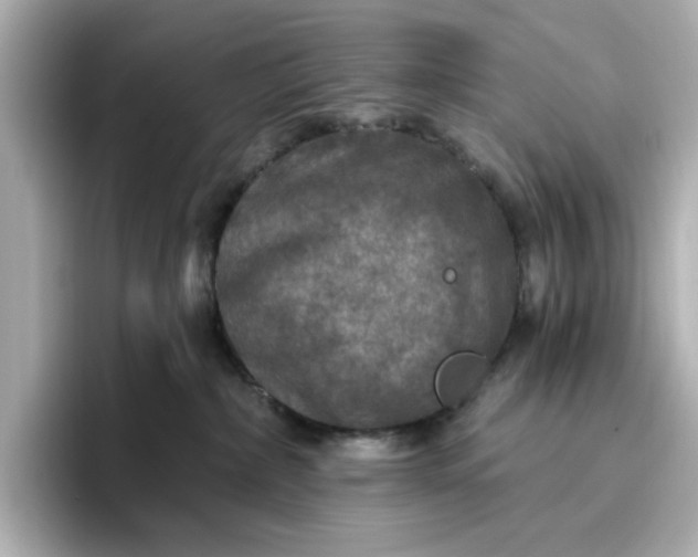 X0000096970236200802221410