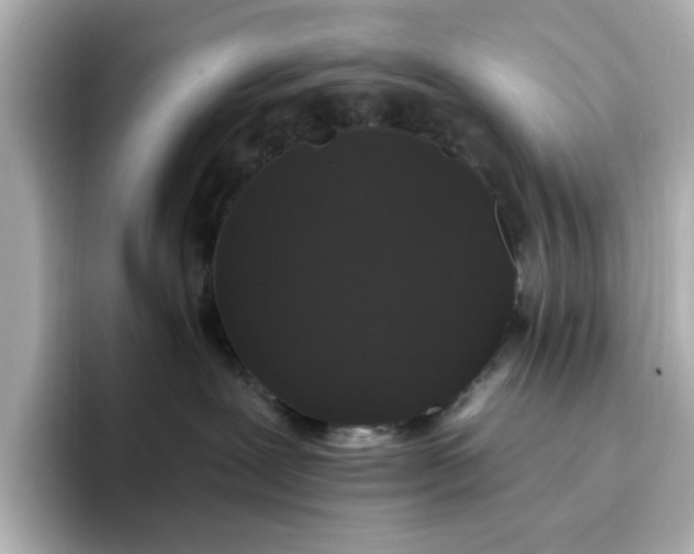 X0000096970239200802221410