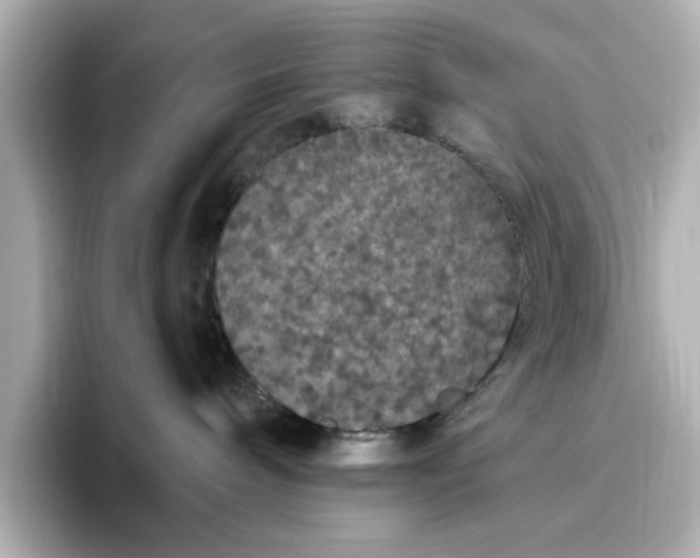 X0000096970240200802221410