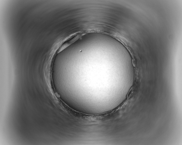 X0000096970241200802221409