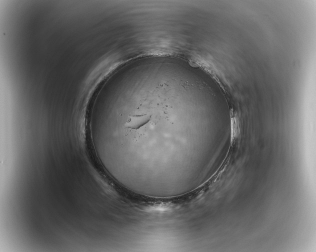 X0000096970243200802221409