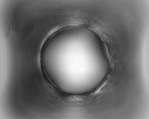 X0000096970244200802221409