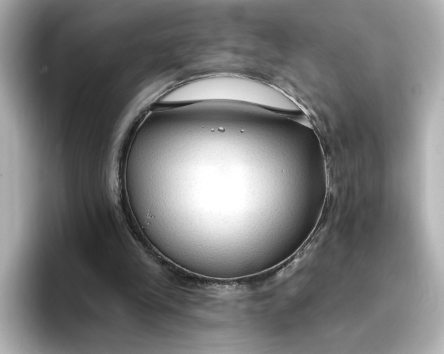 X0000096970245200802221409