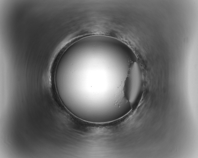 X0000096970246200802221409