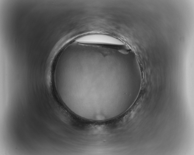 X0000096970247200802221409